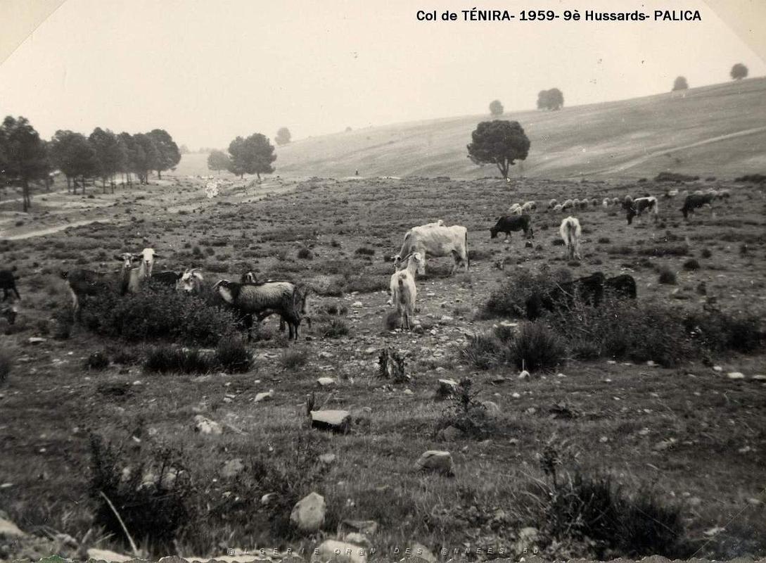 Palica - B- Tenira 066.JPG